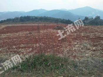 红河土地出售，探索区域发展机遇
