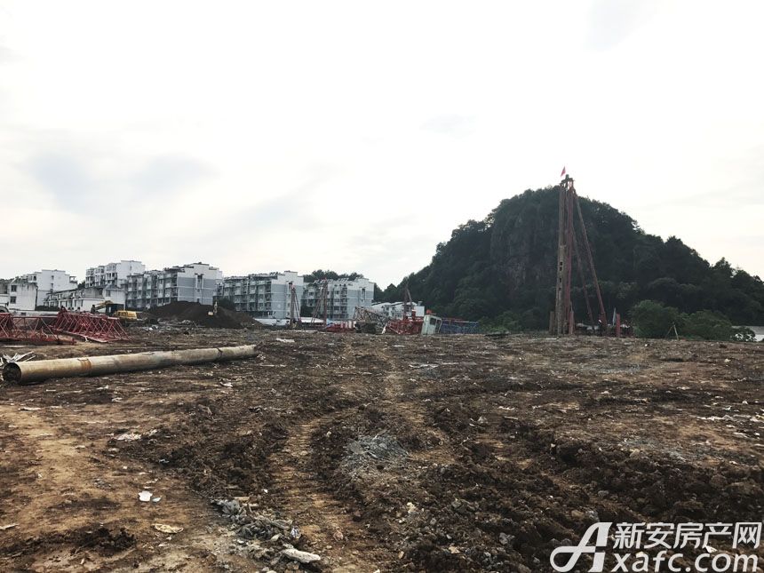 黄山土地发包，乡村振兴的新引擎