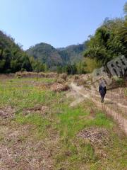 黄山土地出租，新模式下的土地资源利用探索
