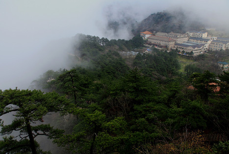 黄山土地网，探索与发现的旅程