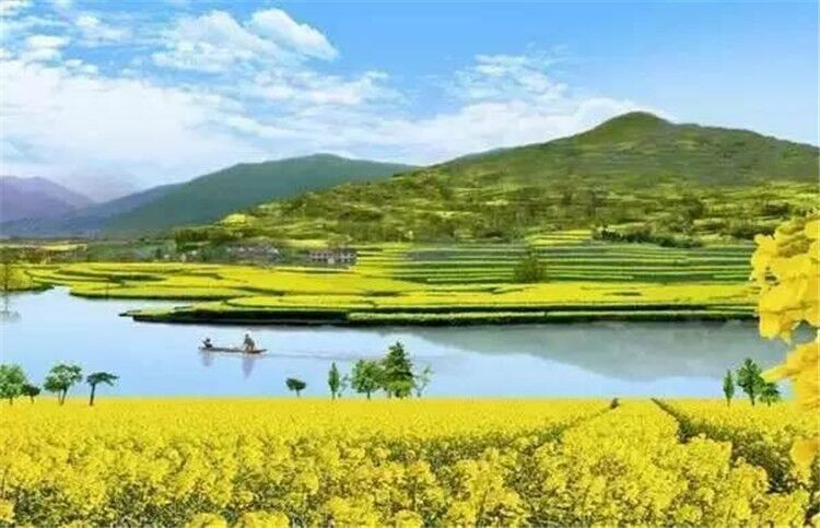 黄南土地转让，推动区域经济发展的关键行动