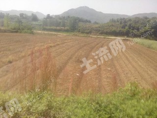 黄石土地流转，农业现代化与乡村振兴的新引擎