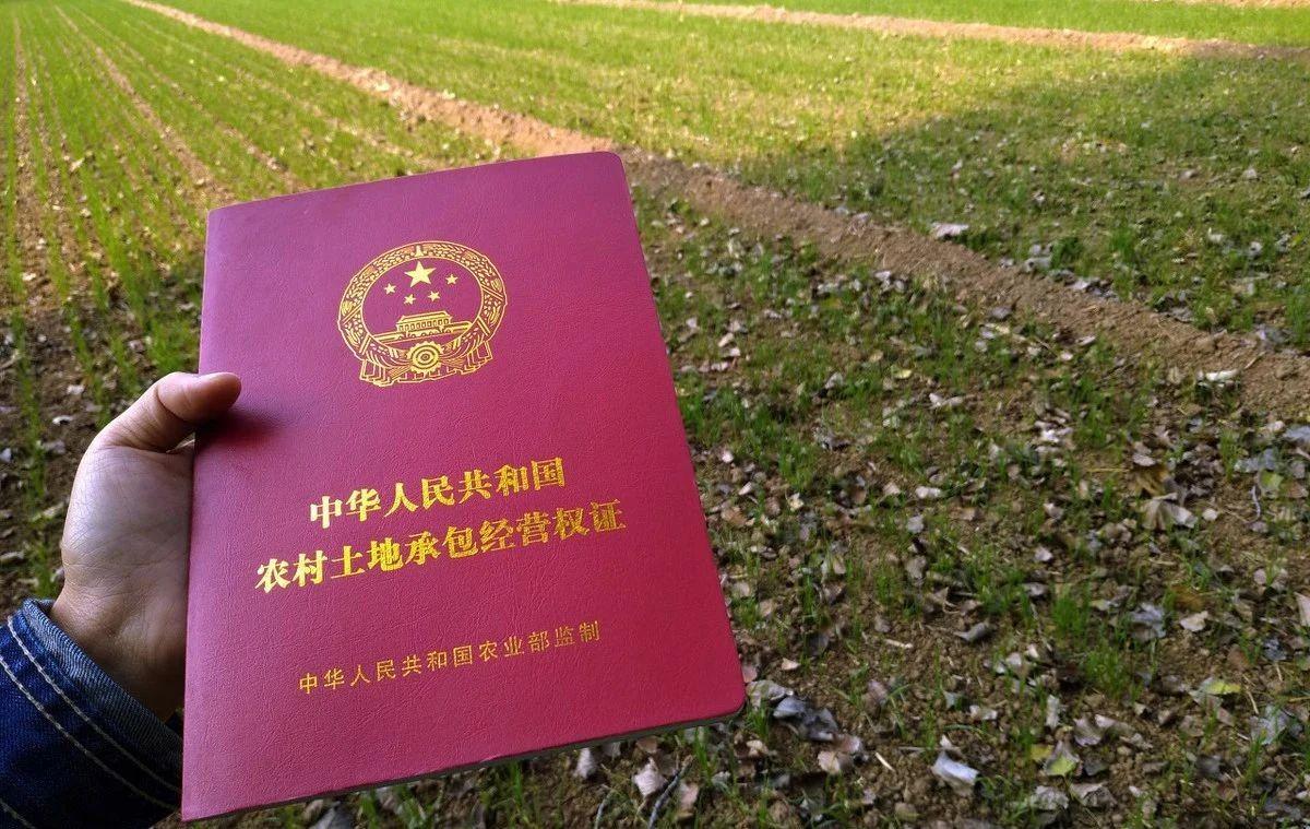 湖北土地发包重塑农村经济发展新篇章