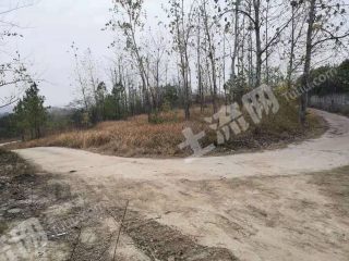 湖北土地网，探索土地资源数字化管理之路