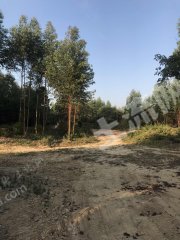 惠州土地流转，农业现代化与乡村振兴的新引擎