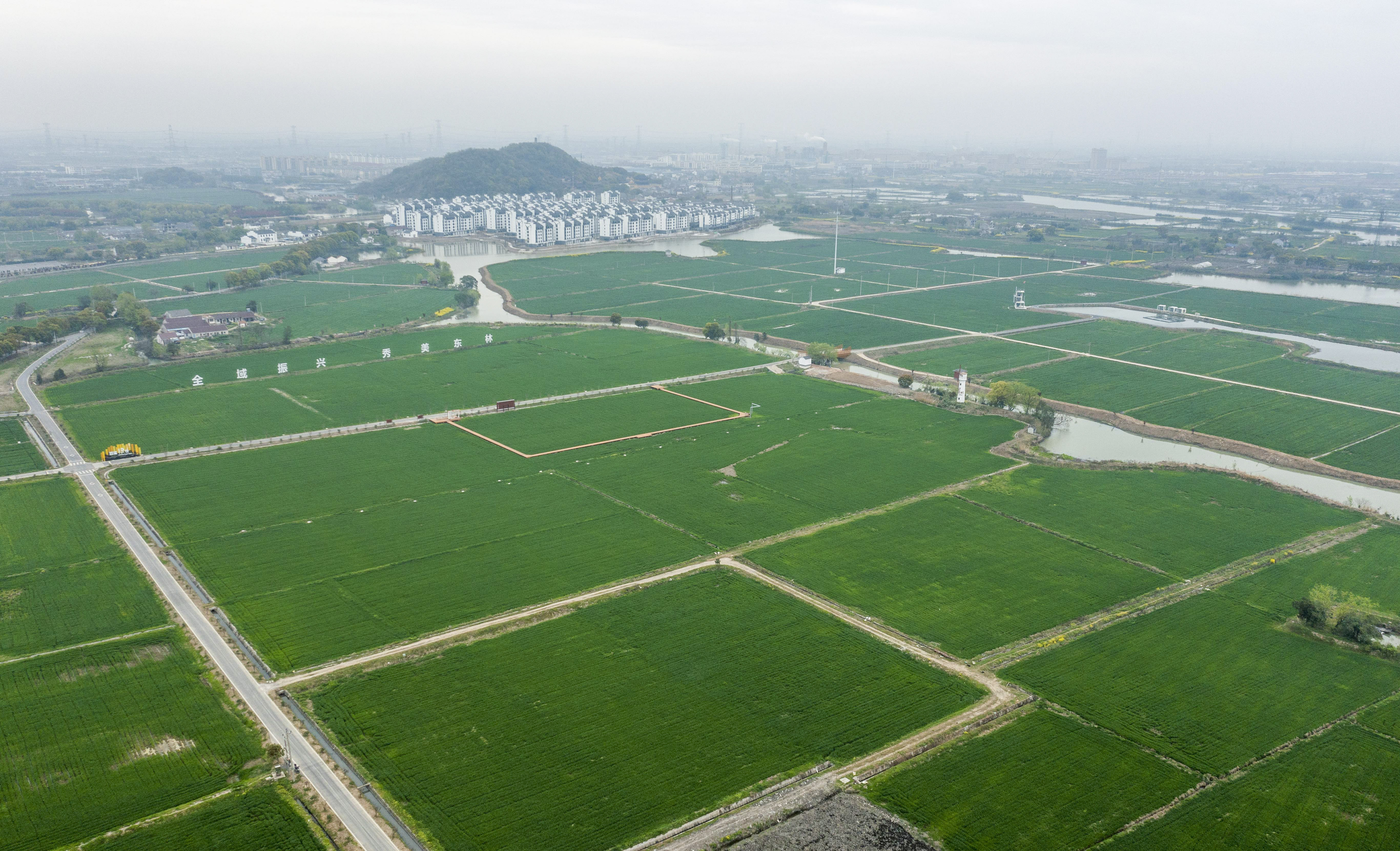 湖州土地发包，重塑乡村经济新引擎