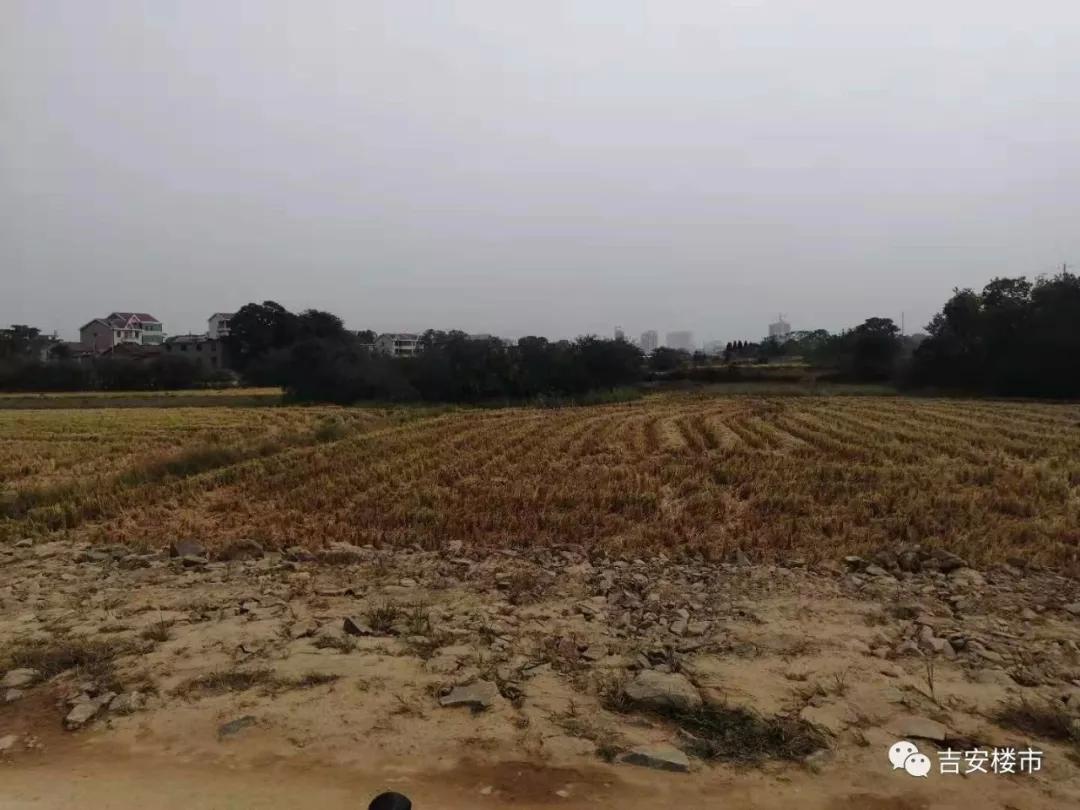 吉安土地出售，投资与发展的黄金机遇