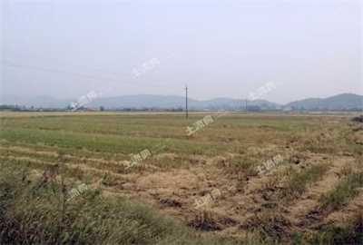 晋城土地发包，新动力推动农业现代化与乡村振兴前行