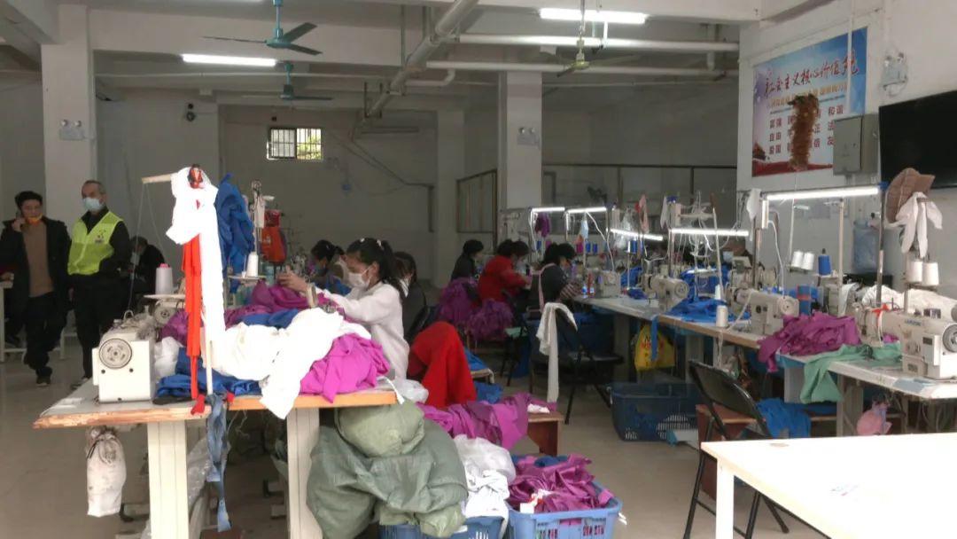 江门土地发包，推动农业现代化与地方经济发展的关键行动