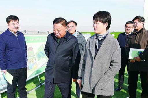 焦作土地出租，现状概述、挑战与未来展望