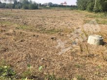 嘉兴土地出租，推动城市发展的核心驱动力