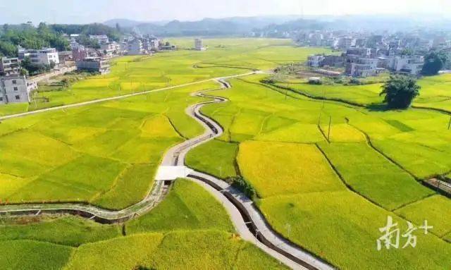 揭阳土地流转，推动农业现代化进程的核心动力