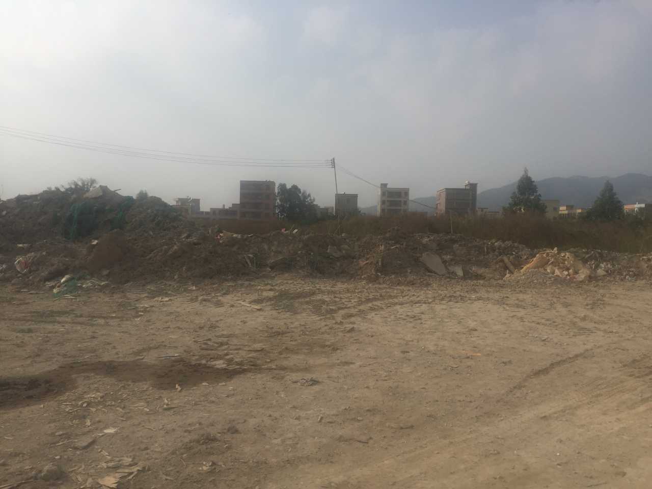 揭阳土地发包，新动力助力农业现代化与乡村振兴齐头并进