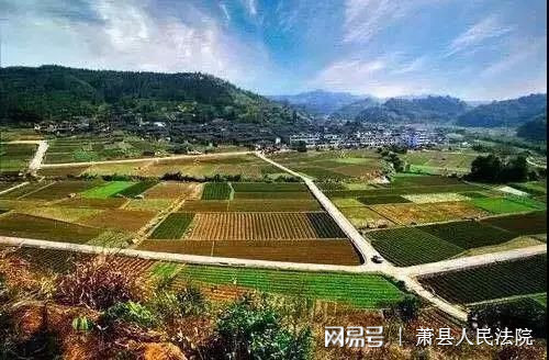 晋中土地发包，农业现代化与乡村振兴的新引擎