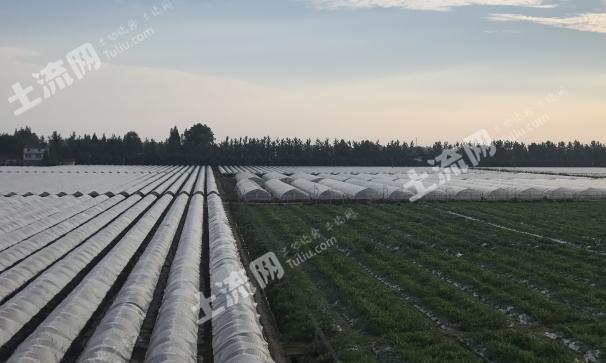 荆州土地流转，推动农业现代化进程的核心动力